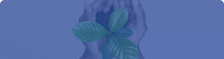 App ecosystems